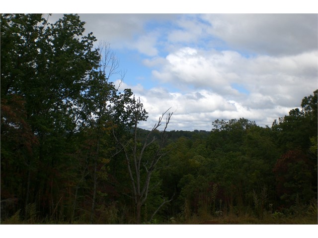Image of Property