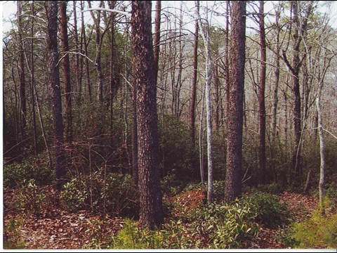 Image of Property
