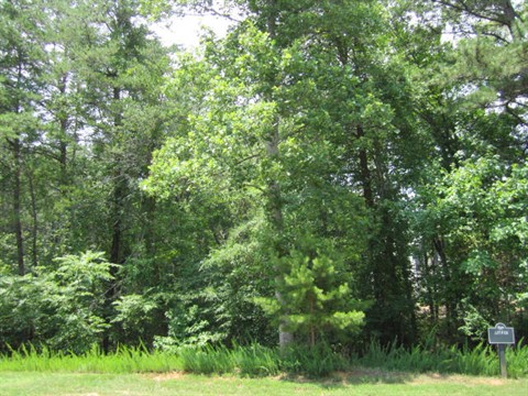 Image of Property