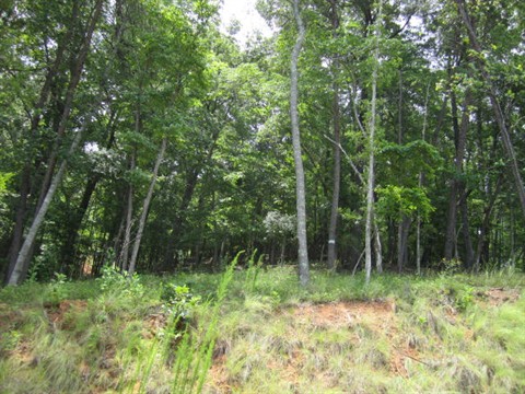 Image of Property