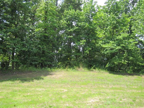 Image of Property