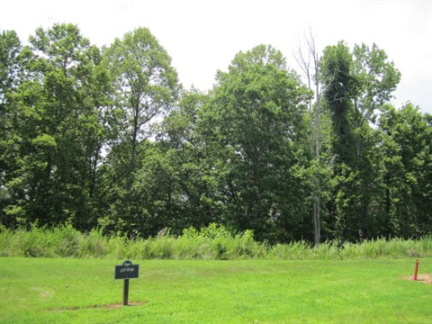 Image of Property