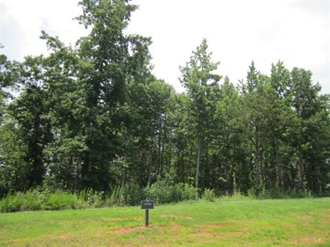 Image of Property