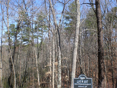 Image of Property
